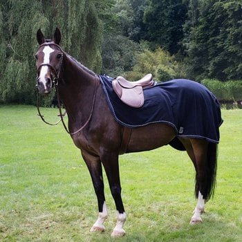 Exercise rugs