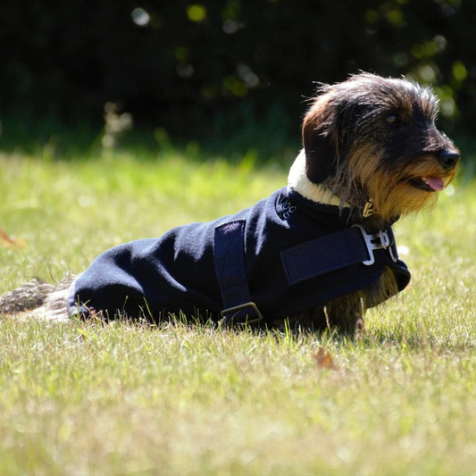 Hundedecke Fleece Teddy blau & schwarz