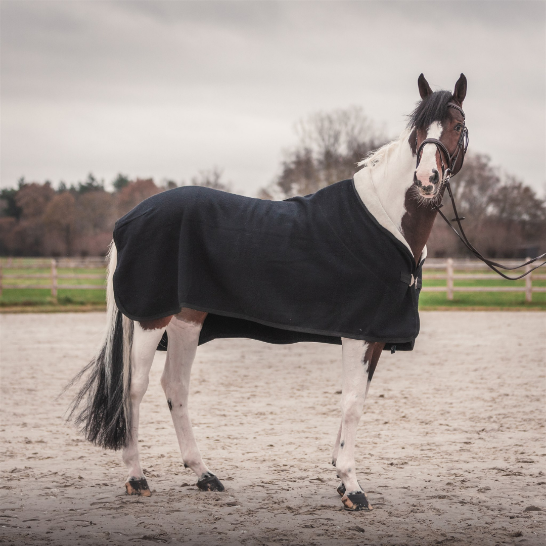 Limited edition: Wollen deken met teddy kraag