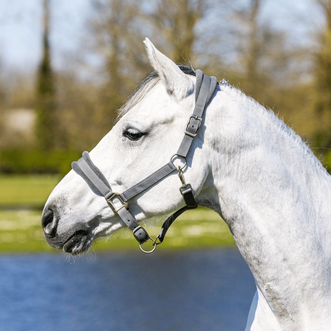 Halster met fleece