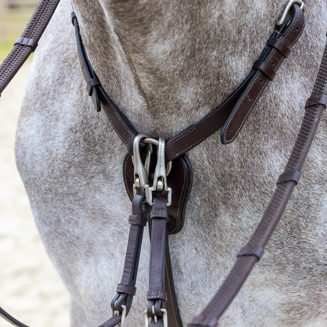 Collier de chasse Lyon - cuir de veau