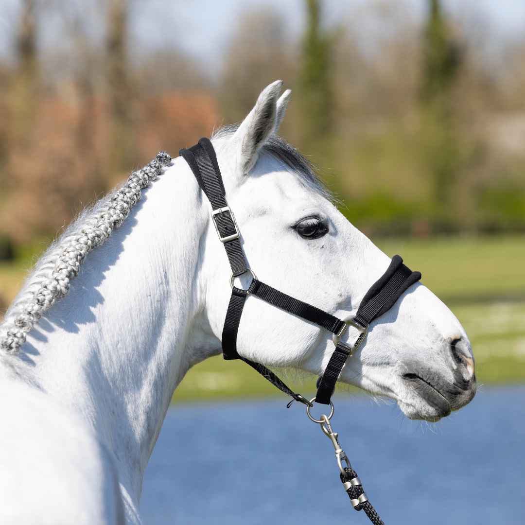 Halster met fleece