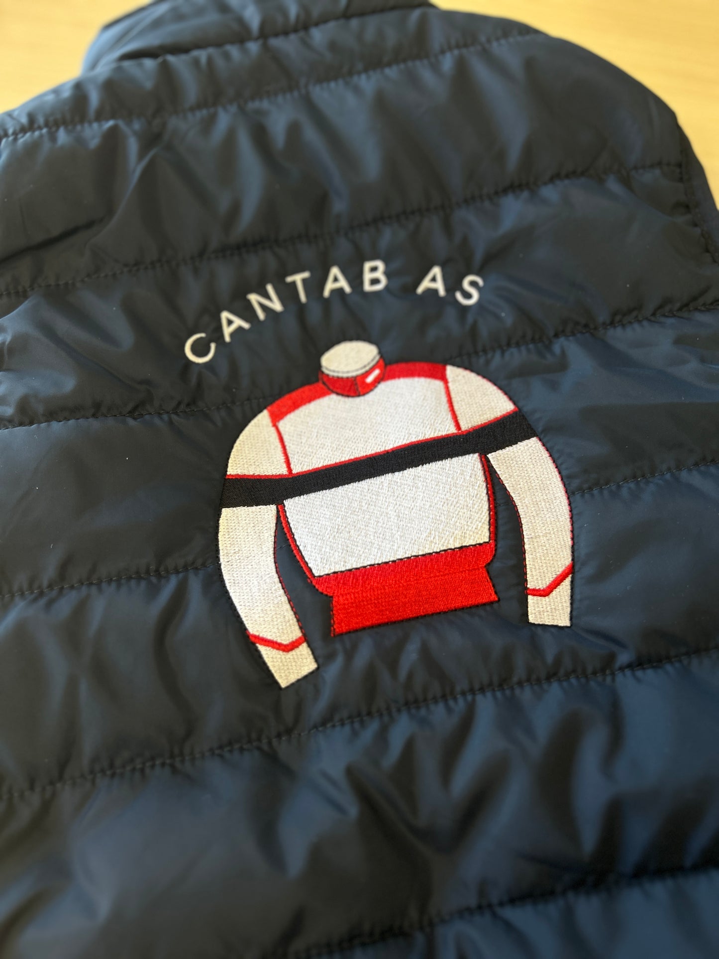 Heren – Bodywarmer Idaho