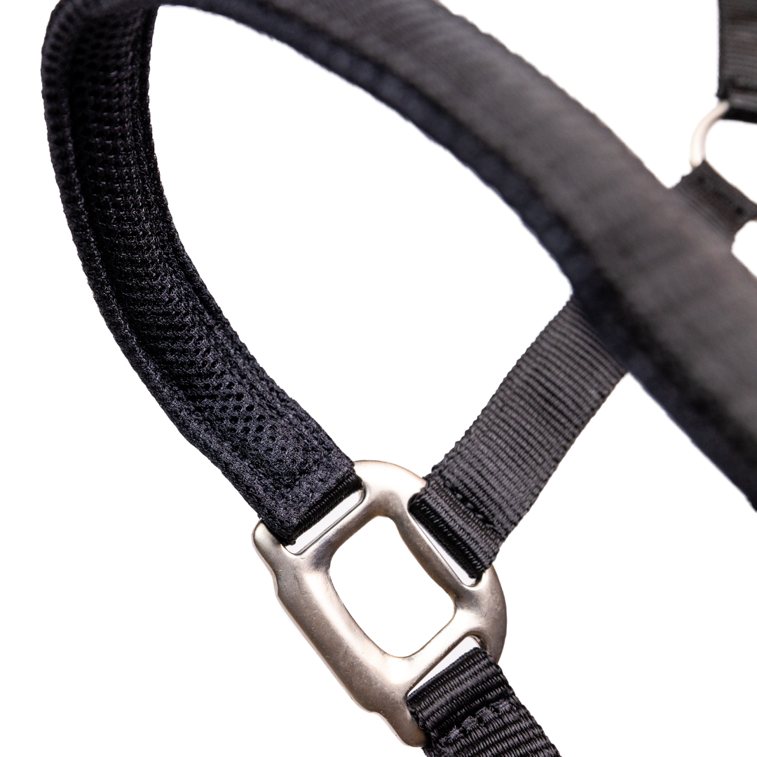 Nylon headcollar