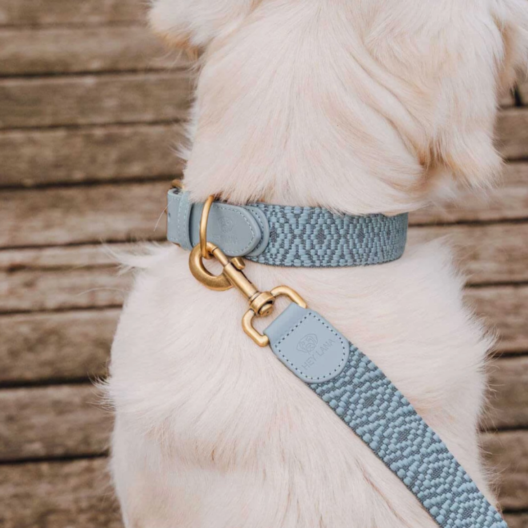 Dog Leash - Anthracite/Ice blue