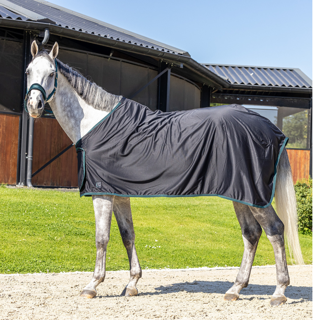 Chemise polaire shine remise des prix - noir/vert
