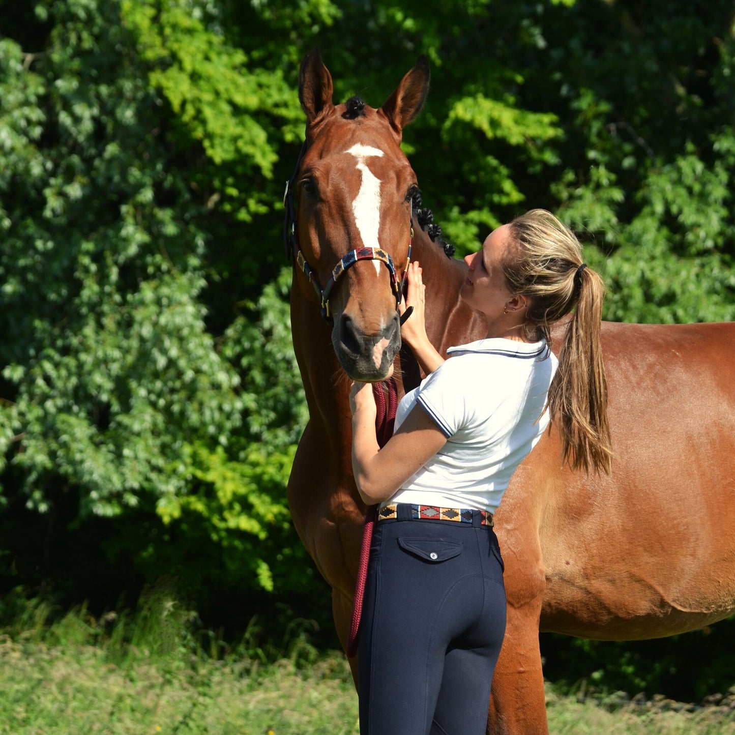 Cooper classic headcollar