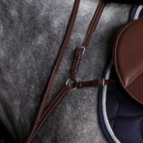 Collier de chasse Paris - cuir de vachette