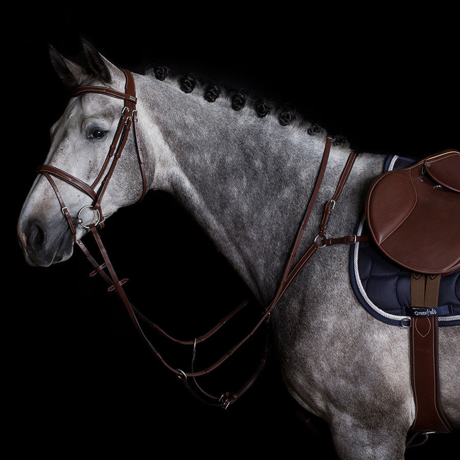 Collier de chasse Paris - cuir de vachette