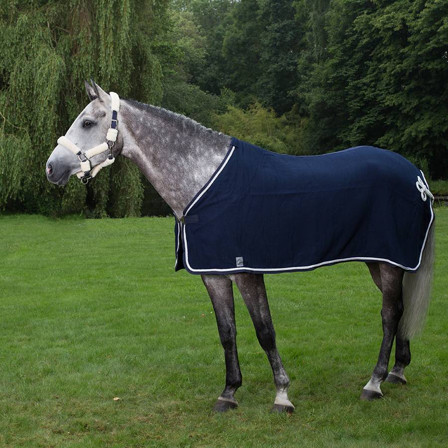 Chemise nid d'abeille - bleu marine/bleu marine-blanc/gris argent