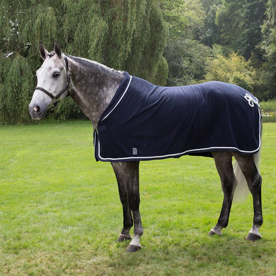 Chemise polaire - bleu marine/bleu marine-blanc/gris argent