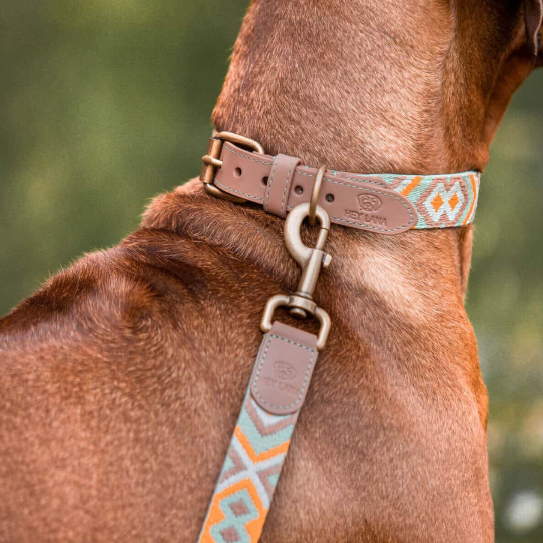 Hundeleine - Mint/Orange