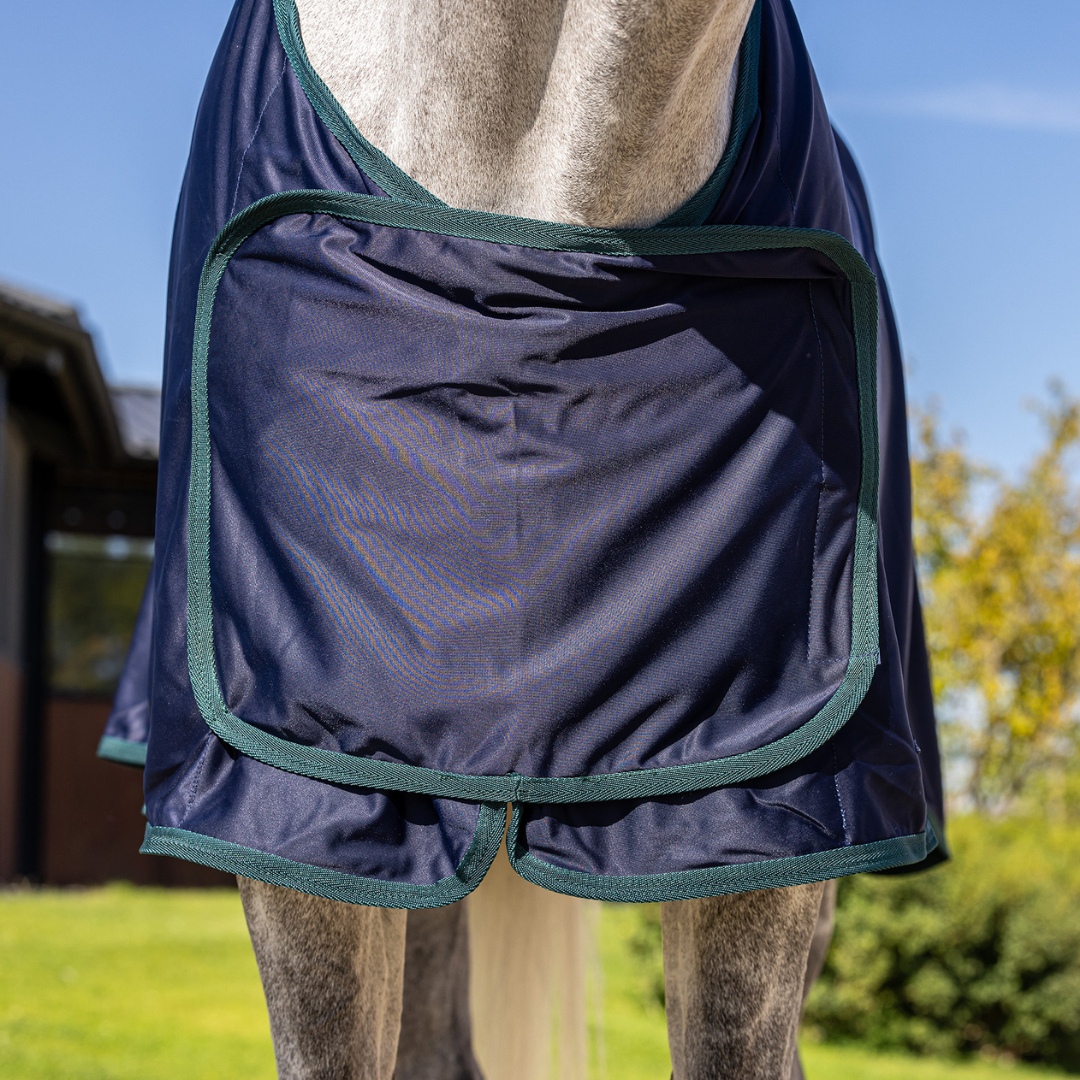 Chemise polaire shine remise des prix - bleu marine/vert