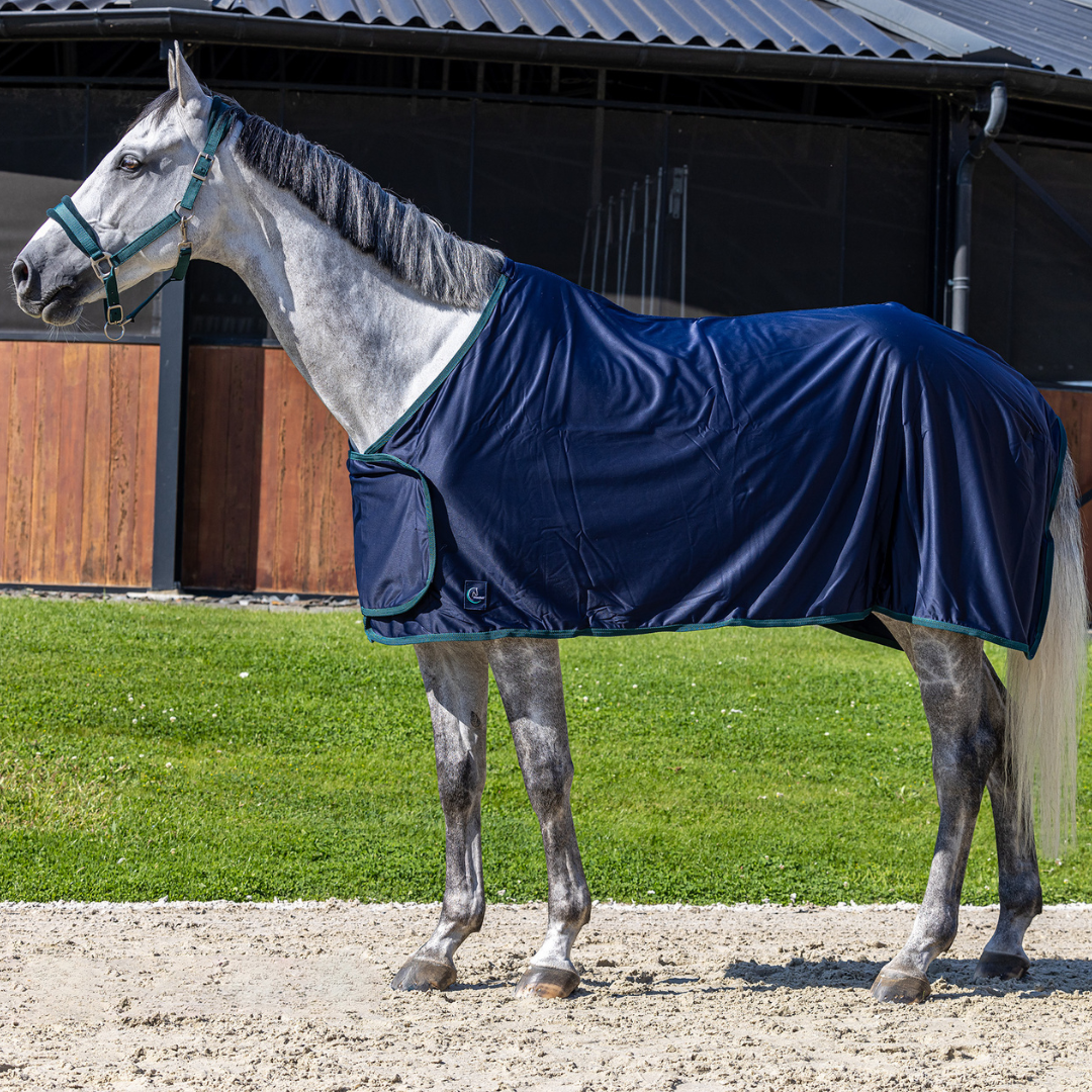 Chemise polaire shine remise des prix - bleu marine/vert