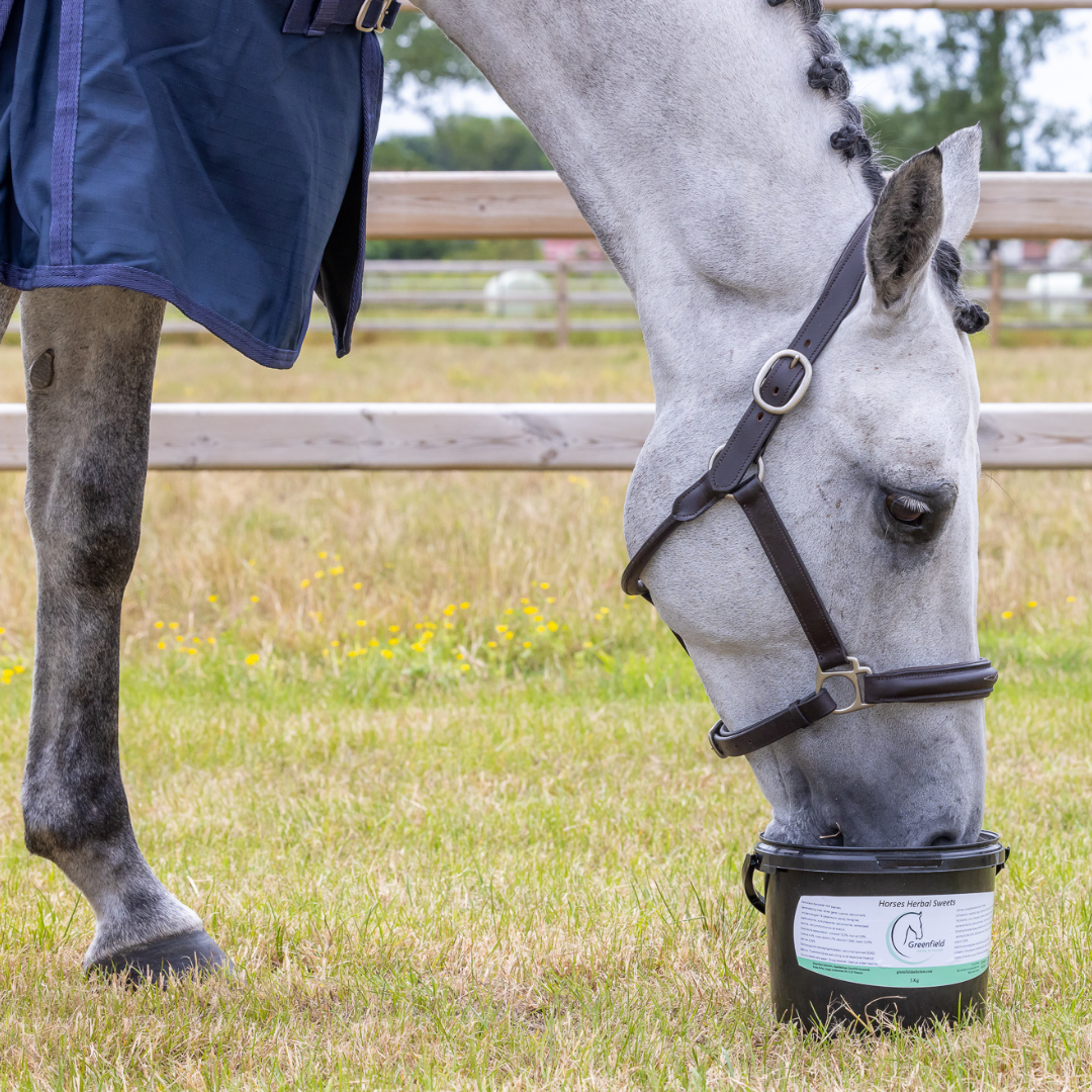 Bonbons aux herbes pour chevaux 3kg