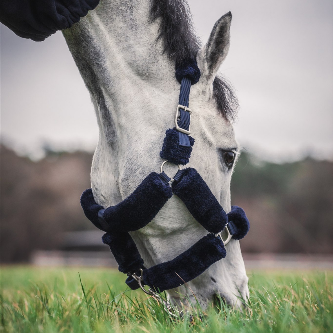 Headcollars