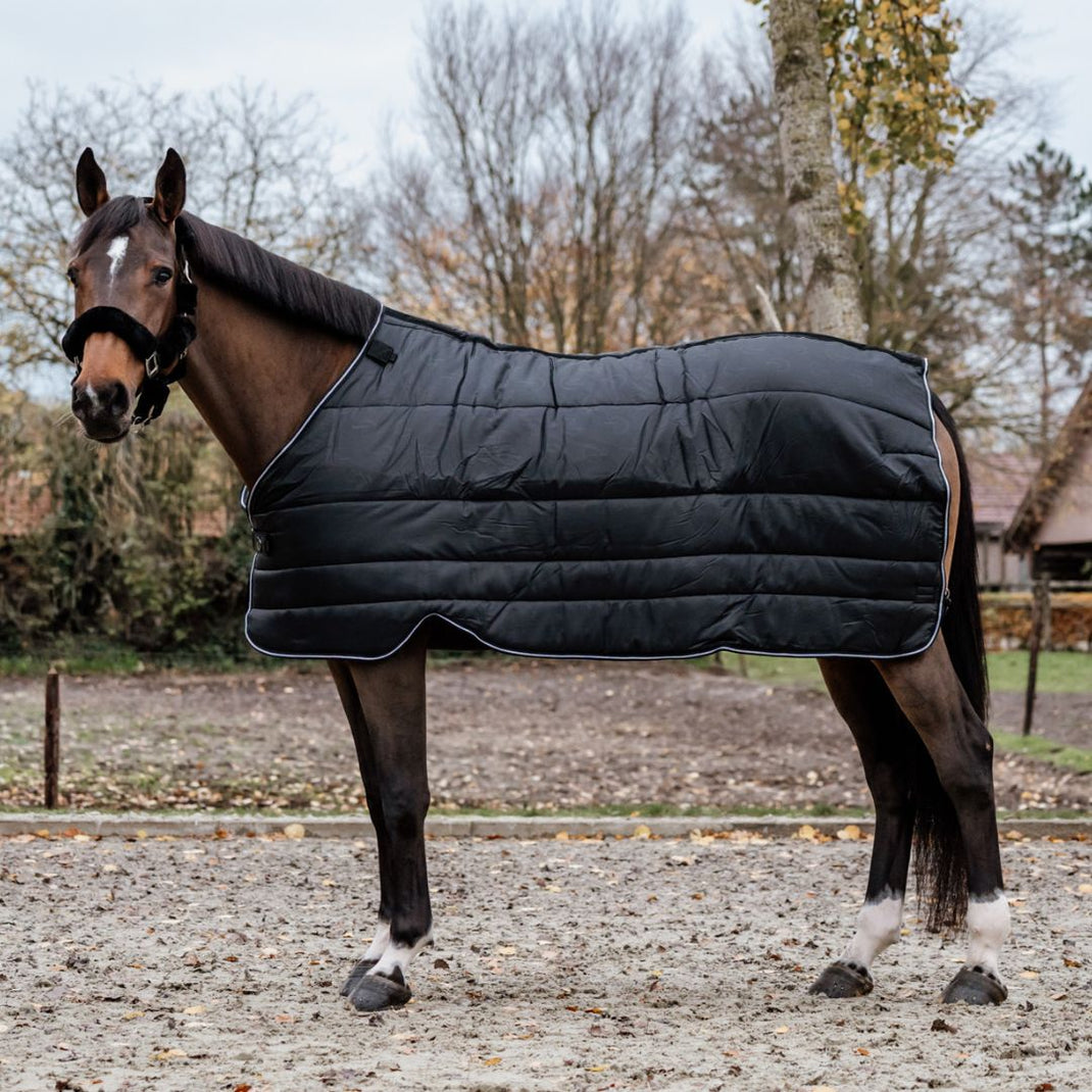Under rugs – Greenfield Selection