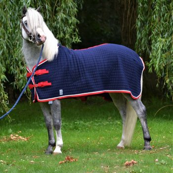 Thermo rugs