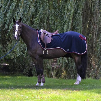 Exercise rugs