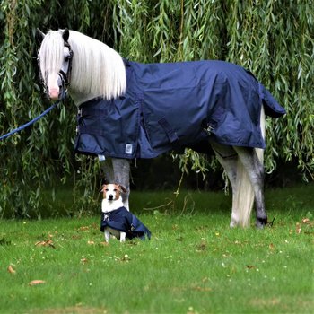 Turnout rugs