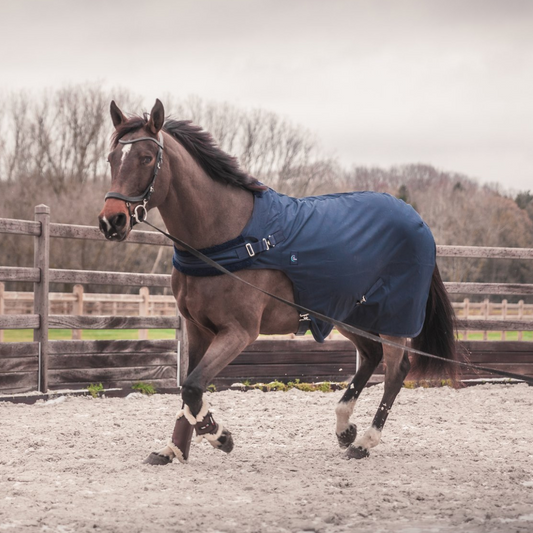 Waterproof walker rug