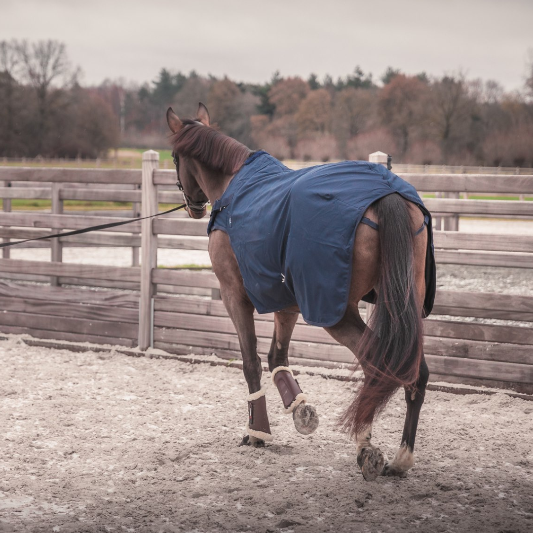 Waterproof walker rug