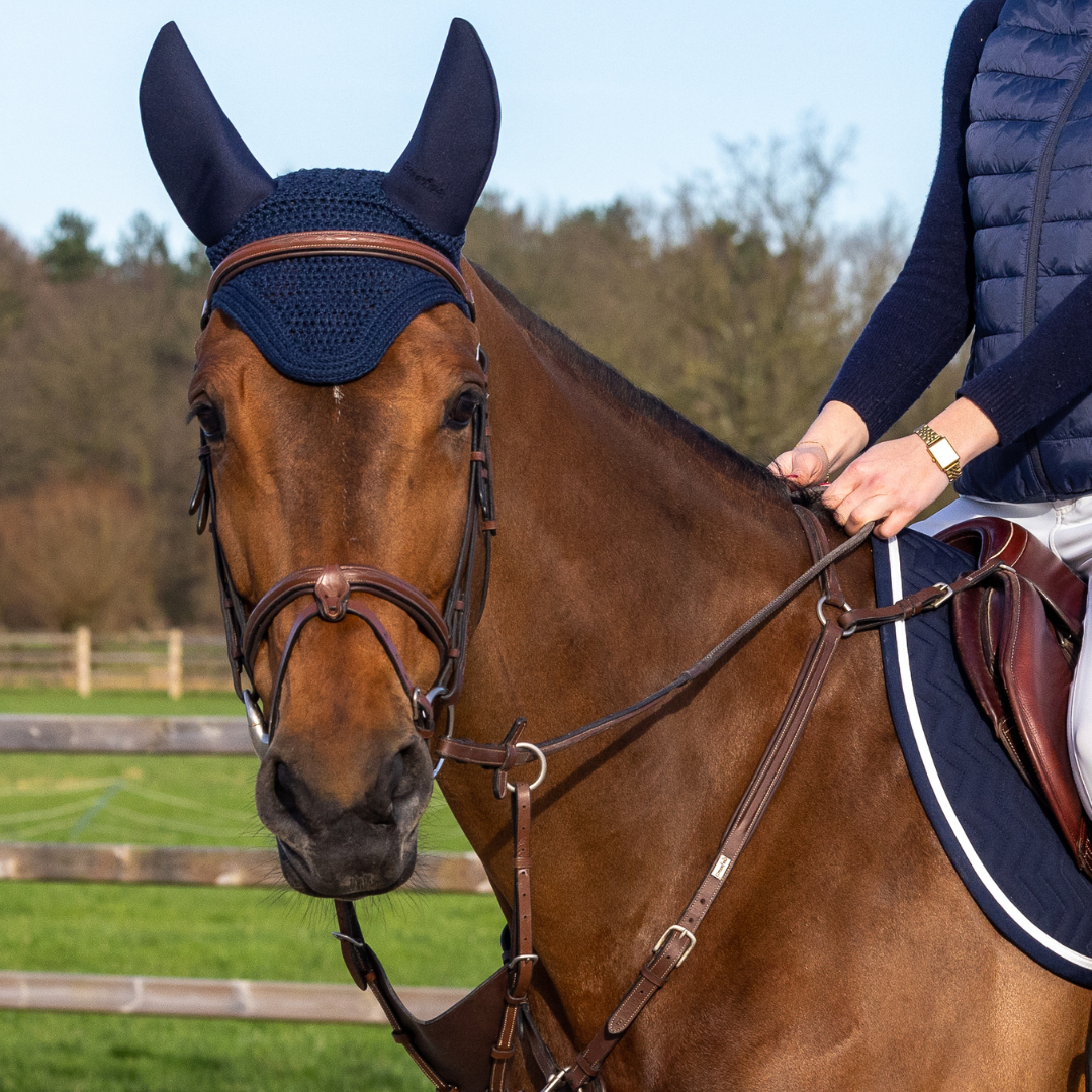 Trense Calgary - Kalbsleder