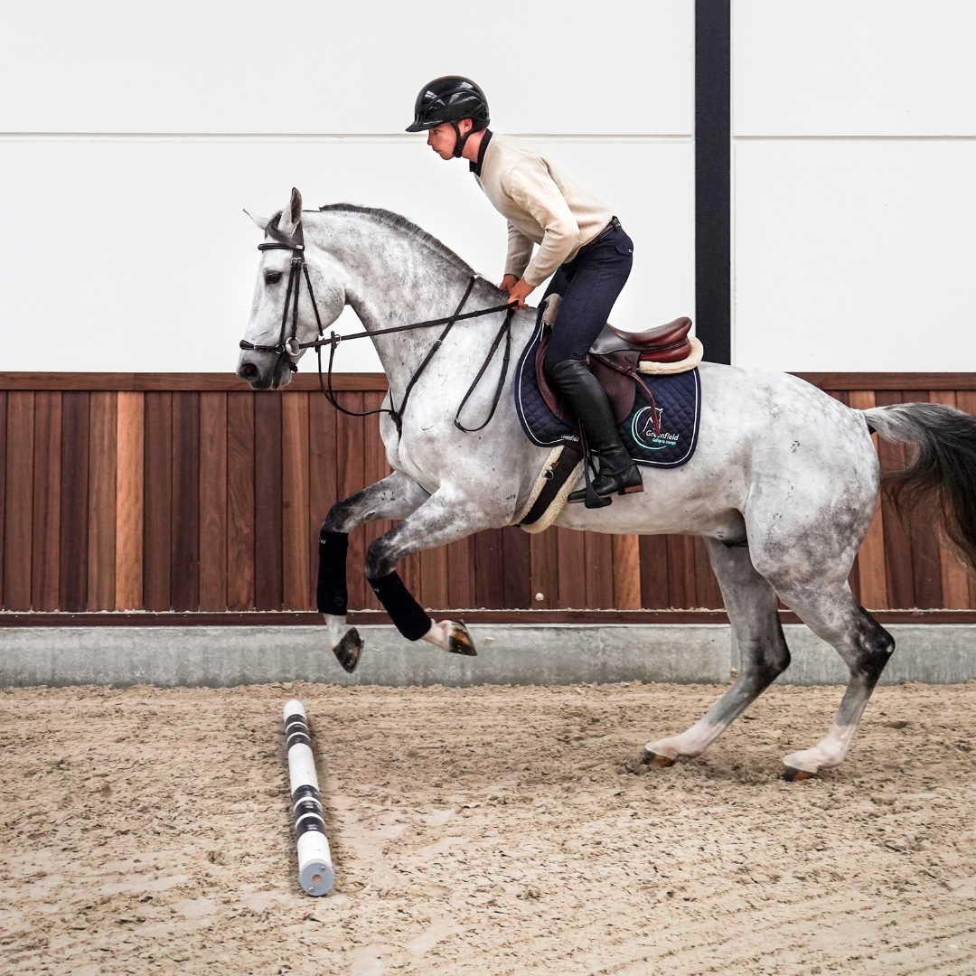 Running martingale