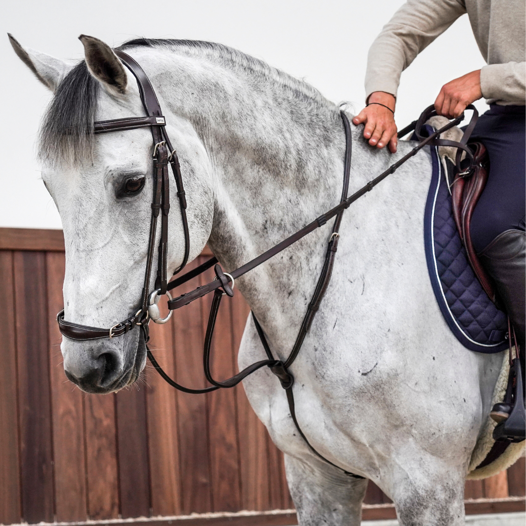Running martingale