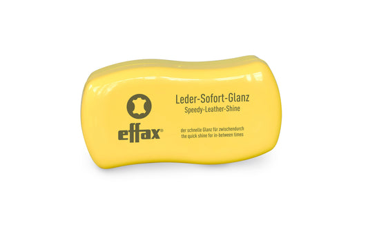 Schneller Lederglanz
