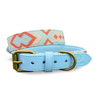 Dog collar - Coral/Blue