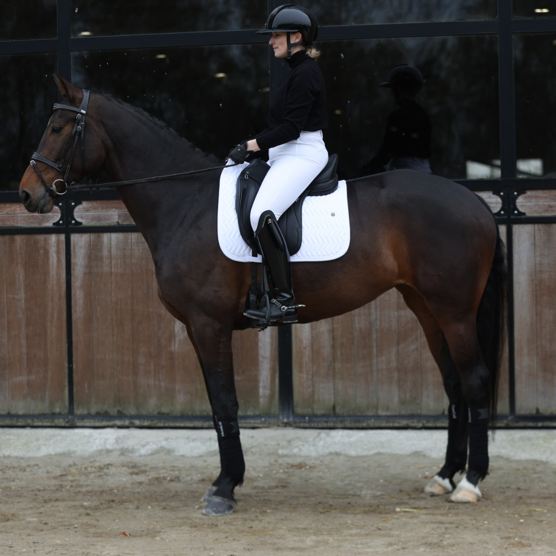 Zadeldoek Arrow dressuur - wit/wit-wit