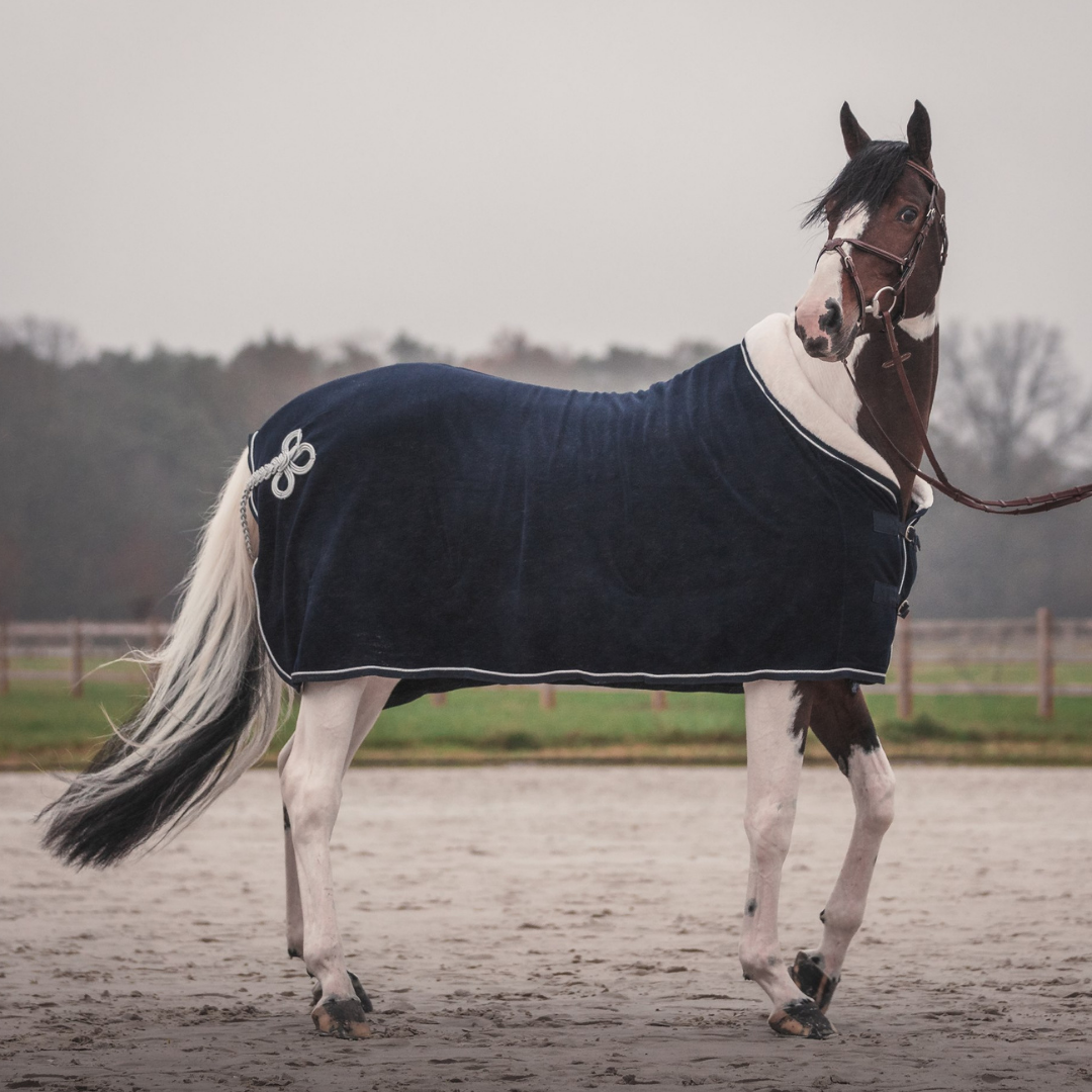 Fleece teddy collar & silver cord - navy
