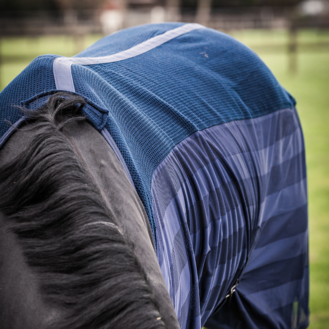 Fly Sheet Honeycomb