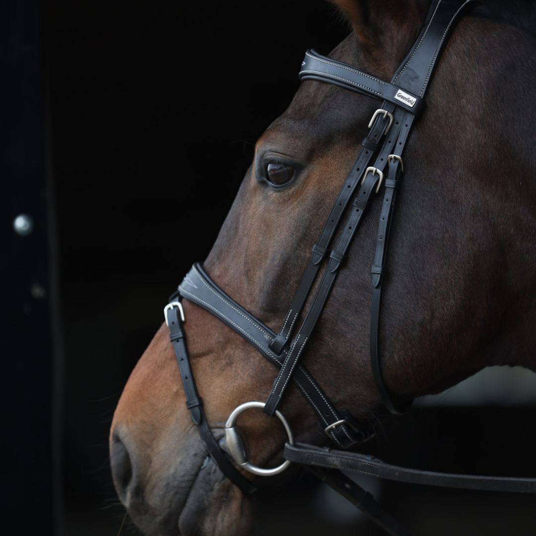Geneva Bridle