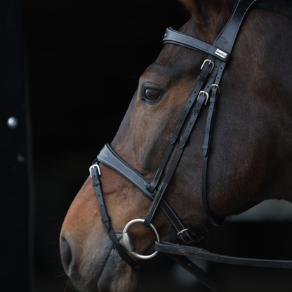 Geneva Bridle