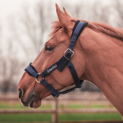 Strong headcollar with fleece
