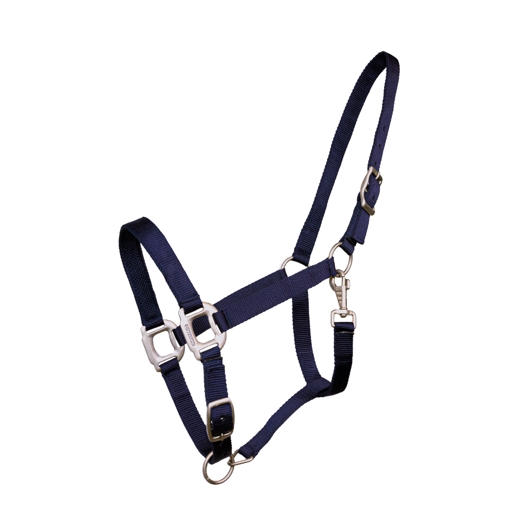 Licol nylon