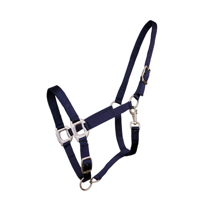 Licol nylon