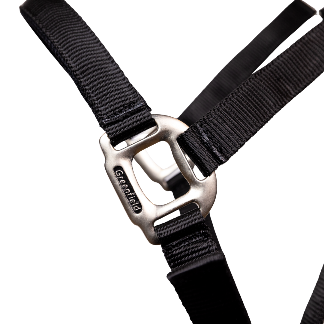 Licol nylon