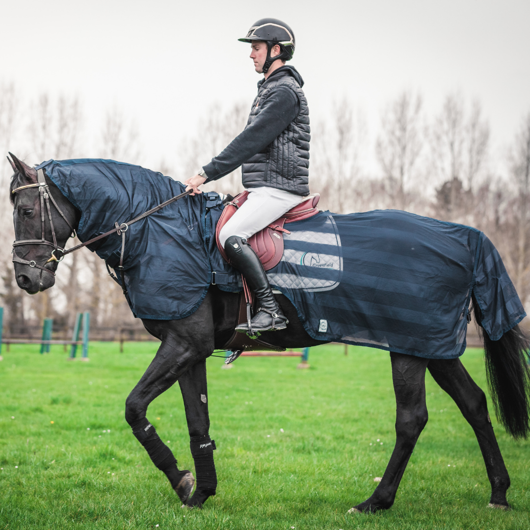 Fly riding sheet