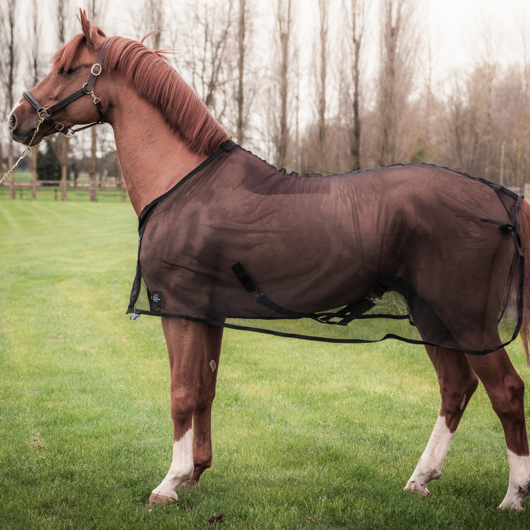 Fly sheet