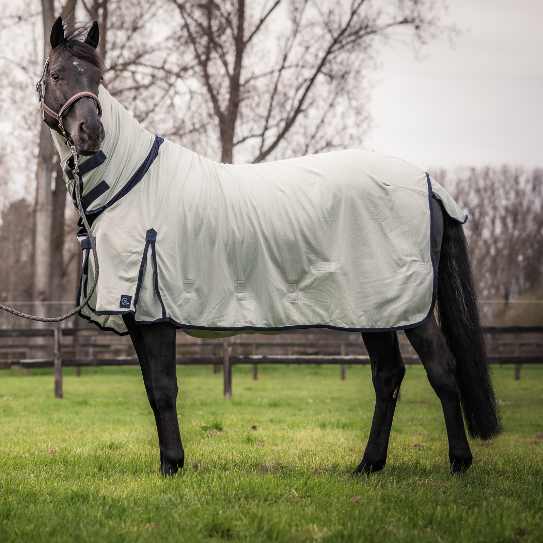 Complete fly sheet
