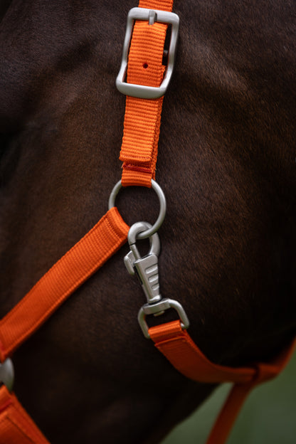 Headcollar with fleece