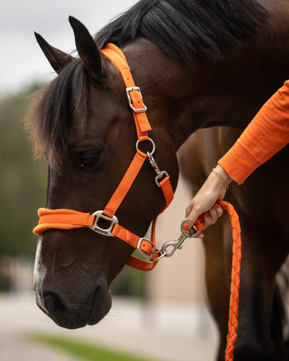 Headcollar with fleece