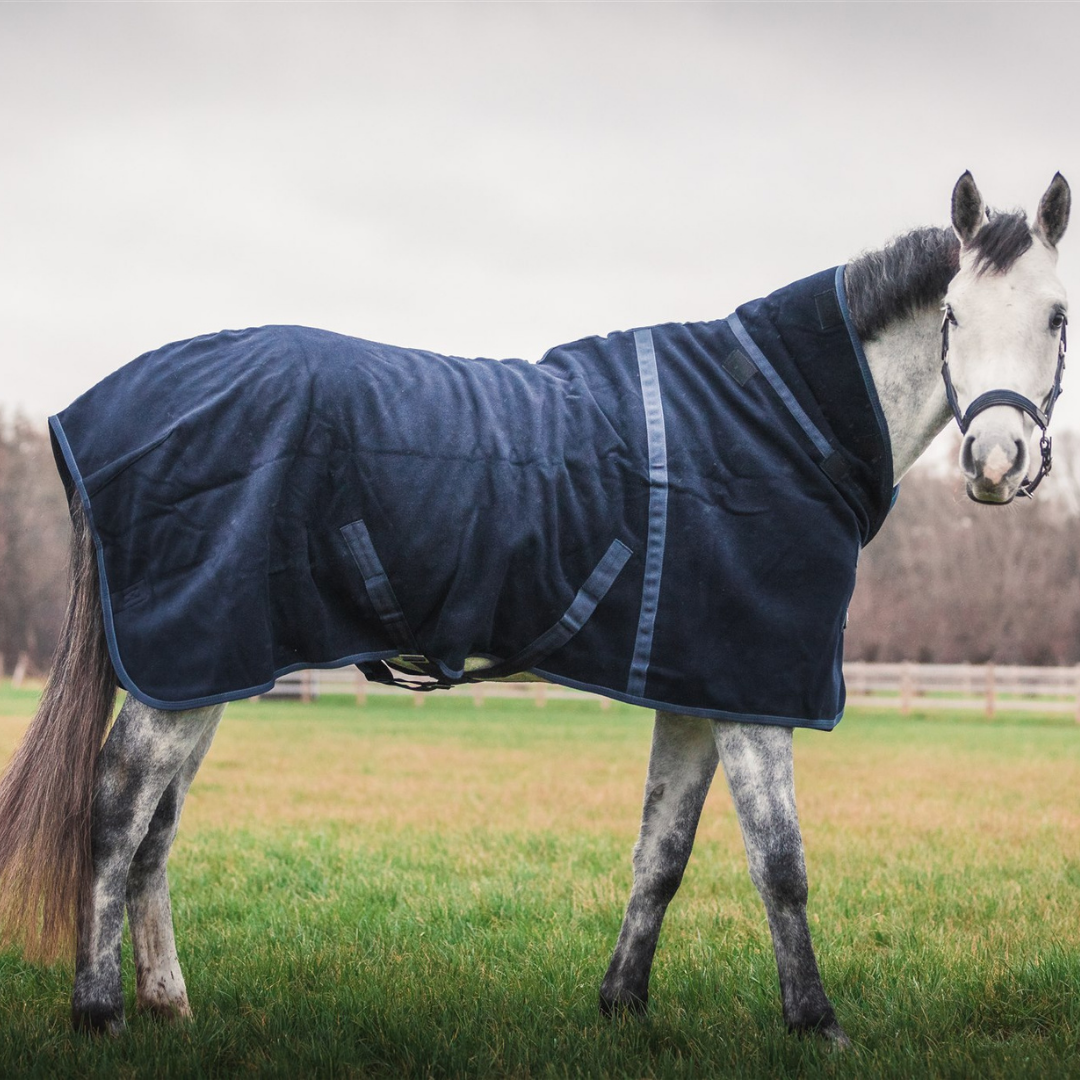 Teddy fleece deluxe - blauw