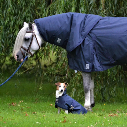 Dog turnout rug