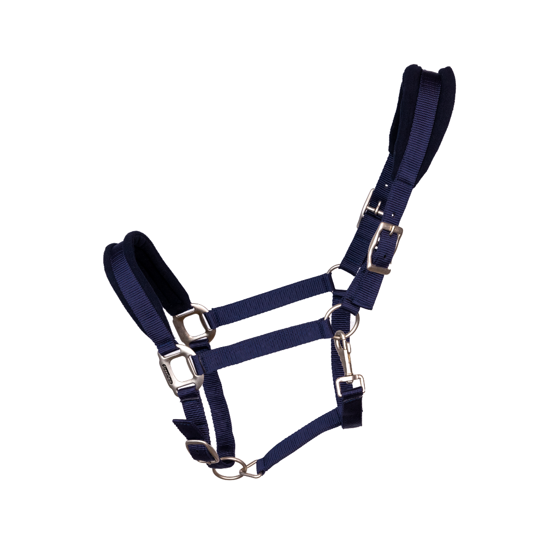 Headcollar with fleece