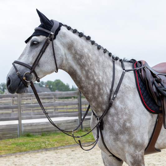 Breastplate Lyon - calf leather