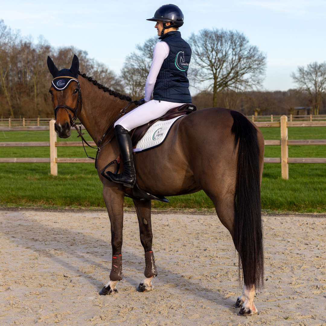 Saddle pad Arrow - white/navy - white + GF logo